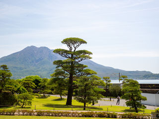 Sengan-en’s sculpted pine garden, Kagoshima Bay, and volcanic Sakurajima beyond—an elegant Kyushu panorama blending samurai heritage, meticulous landscaping, and island grandeur.
