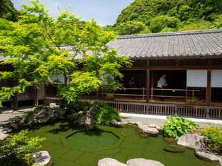 Serene Kyushu temple courtyard: traditional wooden halls, tiled roofs, a koi pond, sculpted rocks, vivid maple foliage, and forested mountains beneath blue skies.